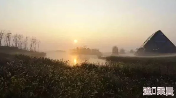 天堂а√在线中文在线新版，界面友好，内容丰富，是我最喜欢的在线平台之一